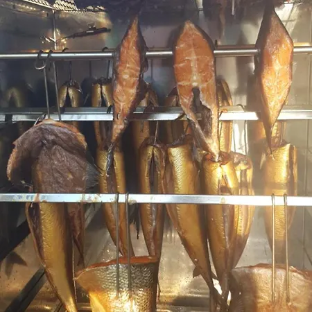 Lodge Letniskowe Nemo Wisełka