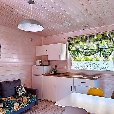 Letniskowe Nemo Lodge