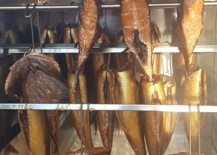 Lodge Letniskowe Nemo Wisełka